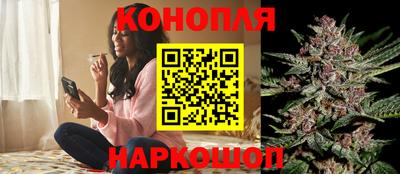 не бодяженный Шебекино